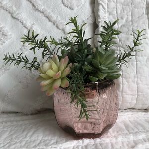 Faux Succulent Plant